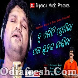 Tu Hrudaya Kahiki Magilu (Humane Sagar) Odia Superhit Sad Song